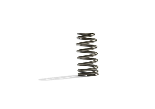 Ford Racing M-6513-M50BR FR Valve Spring Kits