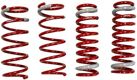 Load image into Gallery viewer, Tanabe TNF170 TAN Springs - NF210
