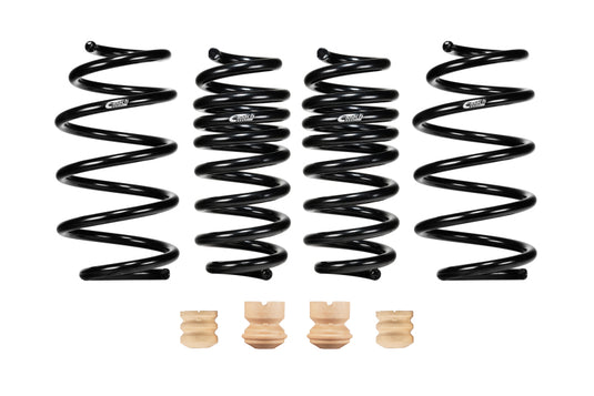 Eibach E10-23-039-01-22 EIB Pro-Kits