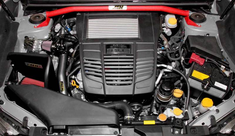 Load image into Gallery viewer, Aem Induction 29-0011WR AEM IND Strut Bars
