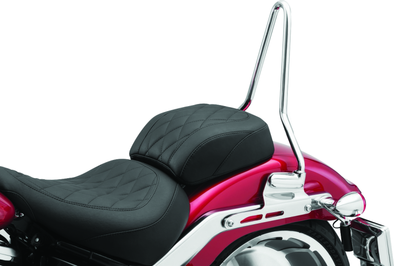 Load image into Gallery viewer, Kuryakyn 6588 KUR Sissy Bars
