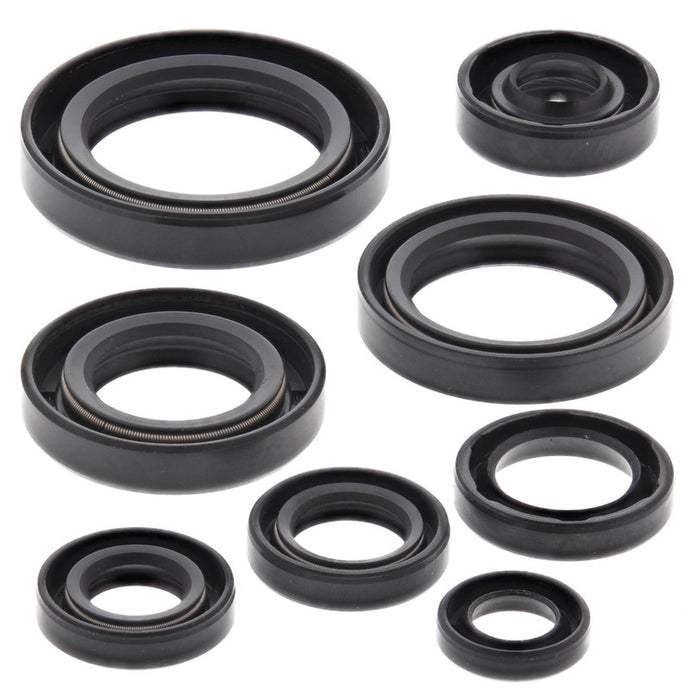 Vertex 822106 Oil Seal Kit