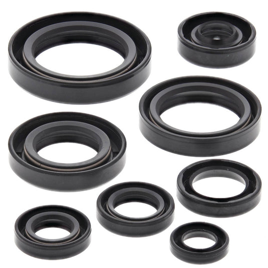 Vertex 822106 Oil Seal Kit