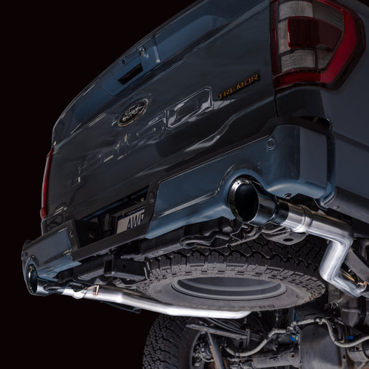Awe Tuning 3020-33402 AWE Cat-Back FG Edition
