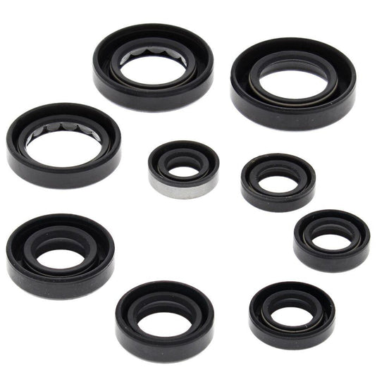 Vertex 822341 Oil Seal Kit
