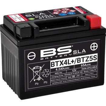 Bs Battery 300669 SLA Factory-Activated AGM Maintenance-Free Battery