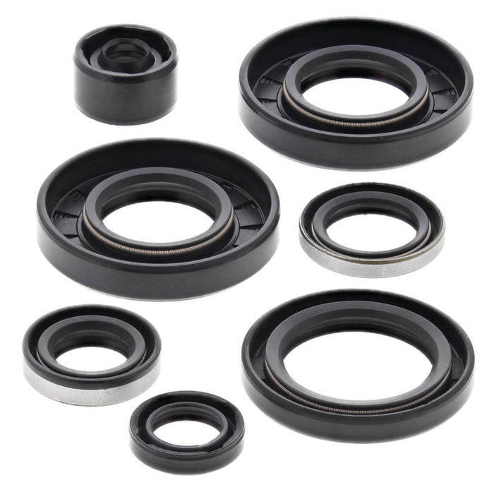 Vertex 822291 Oil Seal Kit