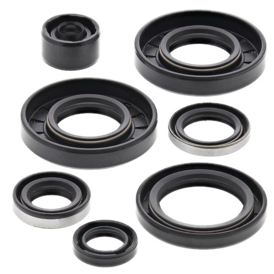 Vertex 822291 Oil Seal Kit