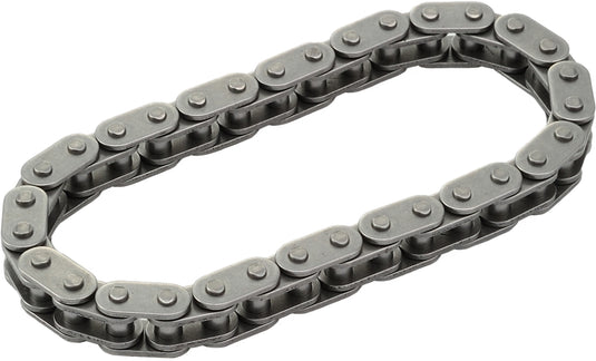 Harddrive 87125 Cam Chain Inner Secondary