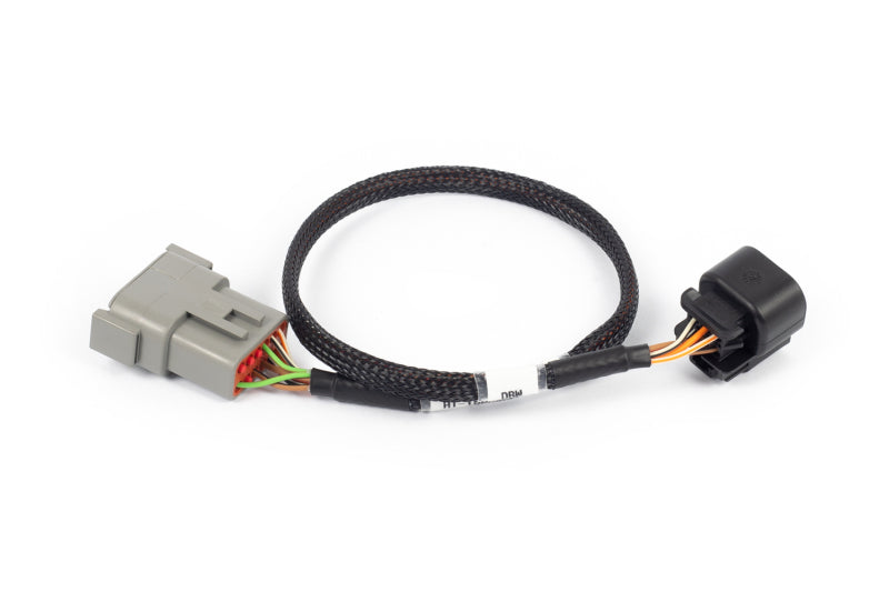 Load image into Gallery viewer, Haltech HT-186505 HAL NEXUS Rebel LS Adaptors
