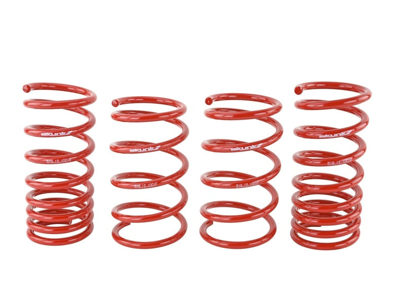 Load image into Gallery viewer, Skunk2 Racing 519-12-1001 SK Lowering Springs
