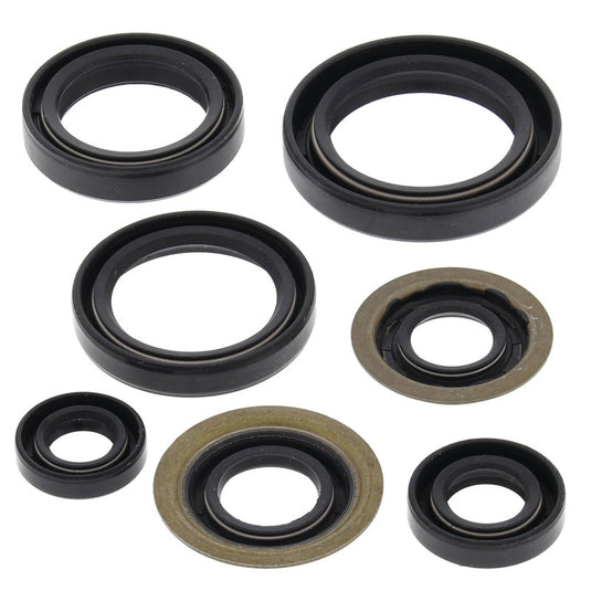 Vertex 822260 Oil Seal Kit