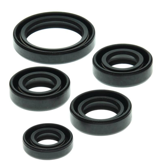 Vertex Pistons 822138 VEP Engine Oil Seal Kit