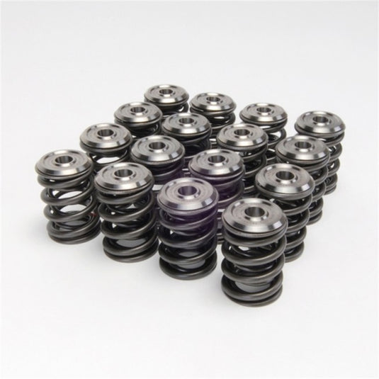Skunk2 Racing 344-05-1300 SK Alpha Spring/Retainer Kit