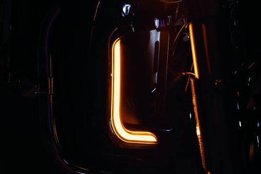 Kuryakyn 2956 KUR LED Auxilliary Lights J