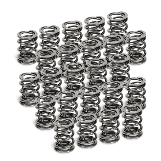 Supertech SPR-H1005D-24 SPT Dual Valve Springs