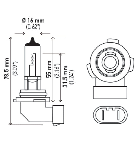 Hella H71071012 HELLA Halogen Bulb