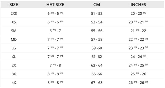 Hjc C10 Solid Snow Helmet with Electric Shield (Large, Black)