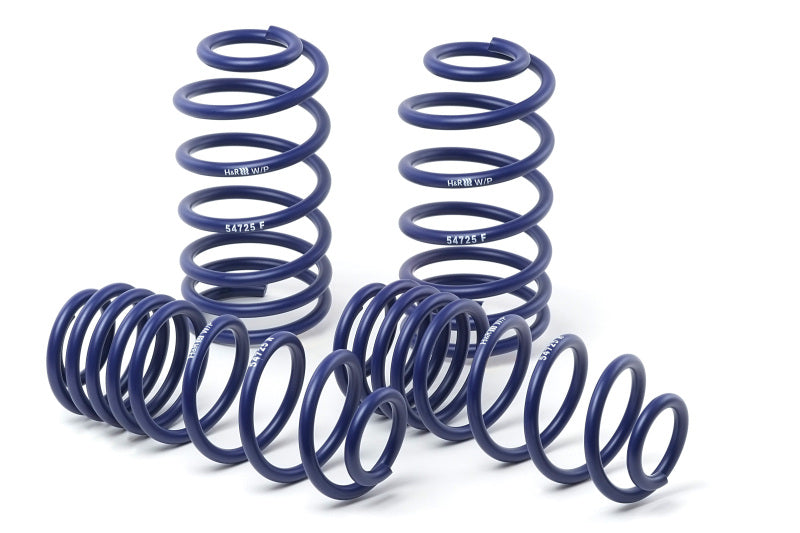 Load image into Gallery viewer, H&amp;R 28565-1 HR Sport Springs

