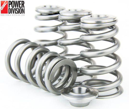 Gsc Power Division 5067 GSC Valve Spring Kits