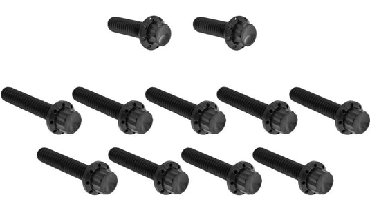 Arlen Ness 300-981 12 Point Cam Cover And Points Cover Bolt Kit - Black