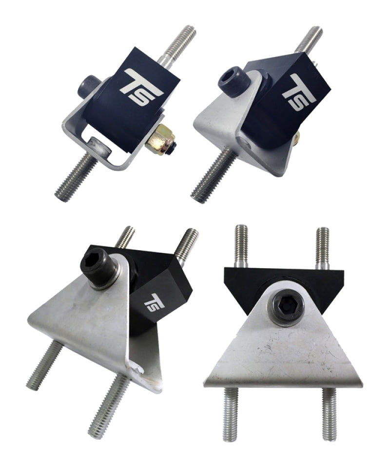 Load image into Gallery viewer, Torque Solution TS-CV-012 TQS Mount Combo Kits
