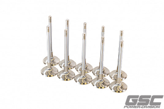Gsc Power Division 2256-10 GSC Intake Valve Sets -STD