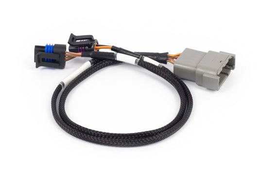 Haltech HT-186504 HAL NEXUS Rebel LS Wire-In Harnesses