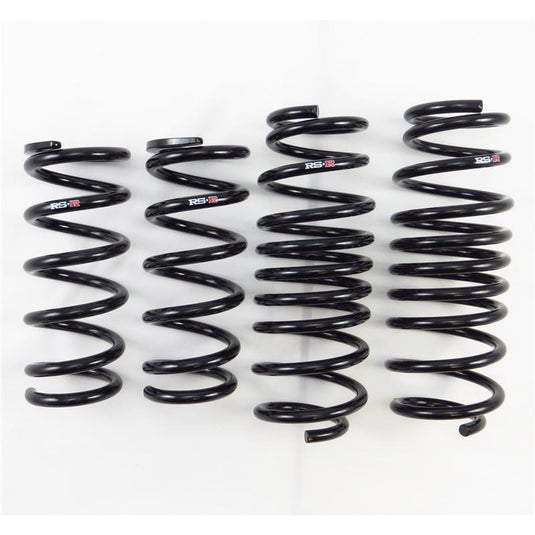 Rs-R N123S RSR Super Down Springs