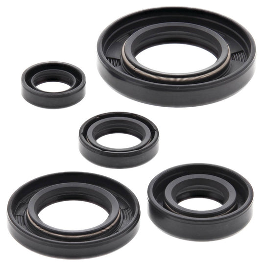 Vertex 822165 Oil Seal Kit