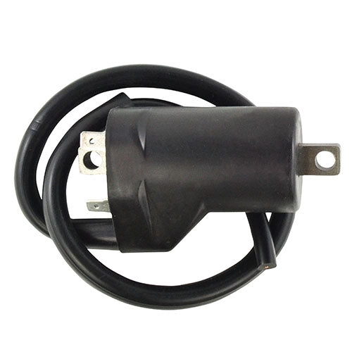 Rm Stator RM06177 Ignition Coil