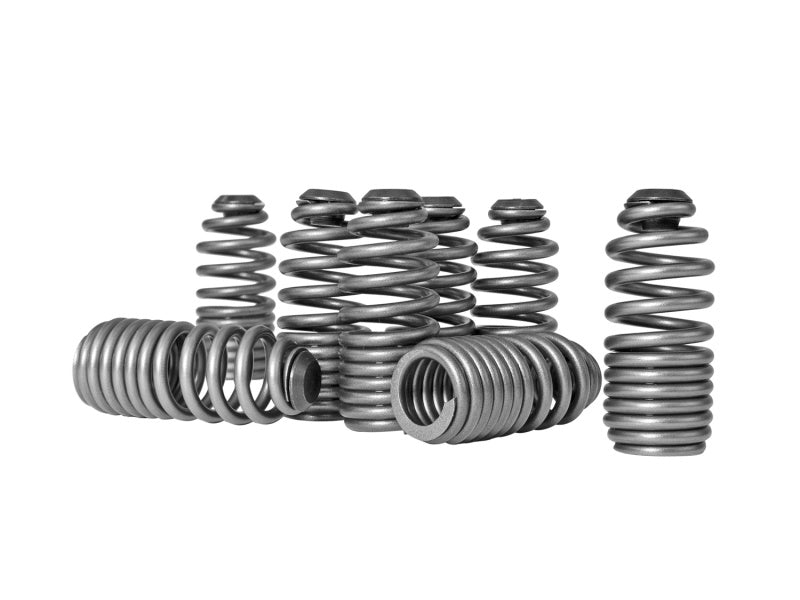 Load image into Gallery viewer, Skunk2 Racing 312-05-0200 SK Tuner Valve Springs
