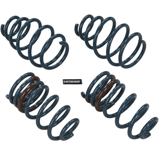Hotchkis 19110 HOT Coil Springs