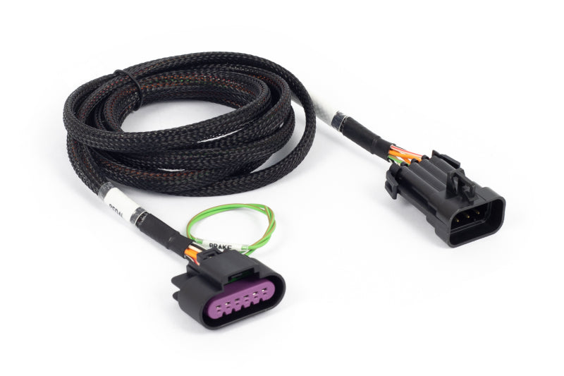 Load image into Gallery viewer, Haltech HT-186507 HAL NEXUS Rebel LS Adaptors
