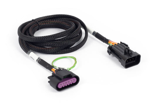 Haltech HT-186507 HAL NEXUS Rebel LS Adaptors