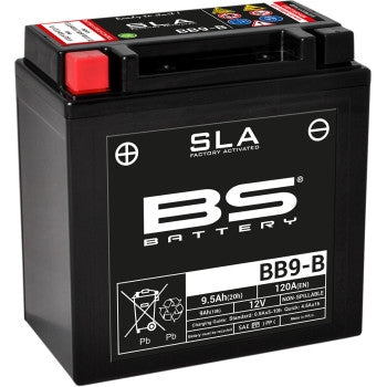 Bs Battery 300675 SLA Factory-Activated AGM Maintenance-Free Battery