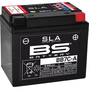 Bs Battery 300848 SLA Factory-Activated AGM Maintenance-Free Battery