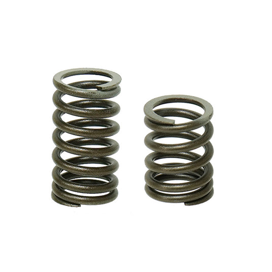 Bronco AU-09518S-3 Intake and Exhaust Valvespring