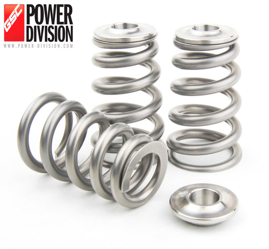 Gsc Power Division 5066 GSC Valve Spring Kits