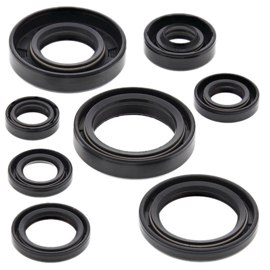 Vertex 822173 Oil Seal Kit