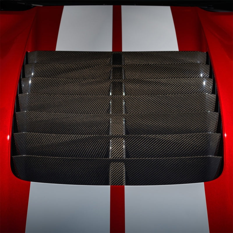 Load image into Gallery viewer, Ford Racing M-16612-C20 FR Hoods

