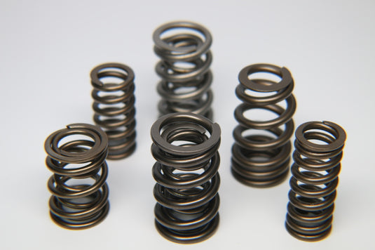 Ferrea S10169 FER Valve Springs - Sets
