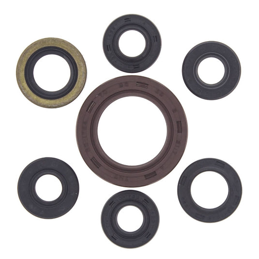 Vertex 822201 Oil Seal Kit