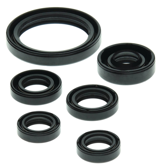 Vertex 822238 Oil Seal Kit