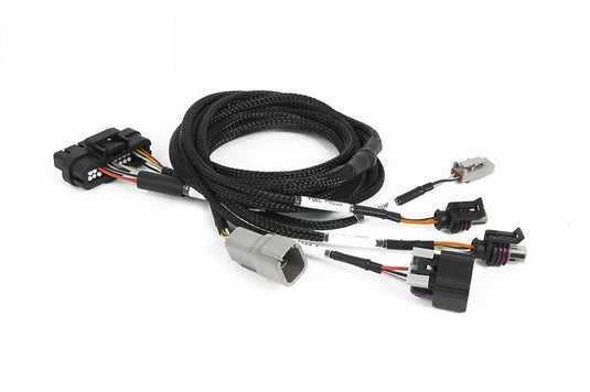 Haltech HT-189002 HAL NEXUS Wire-In Harnesses