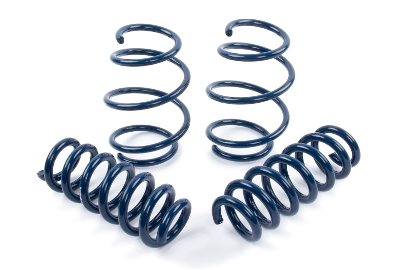 Load image into Gallery viewer, Dinan D100-0934 DNN Coil Springs
