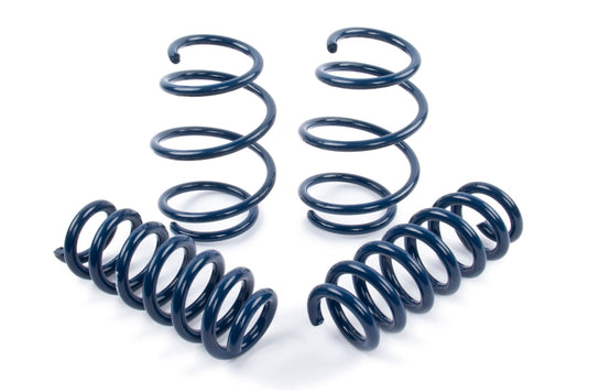 Dinan D100-0934 DNN Coil Springs