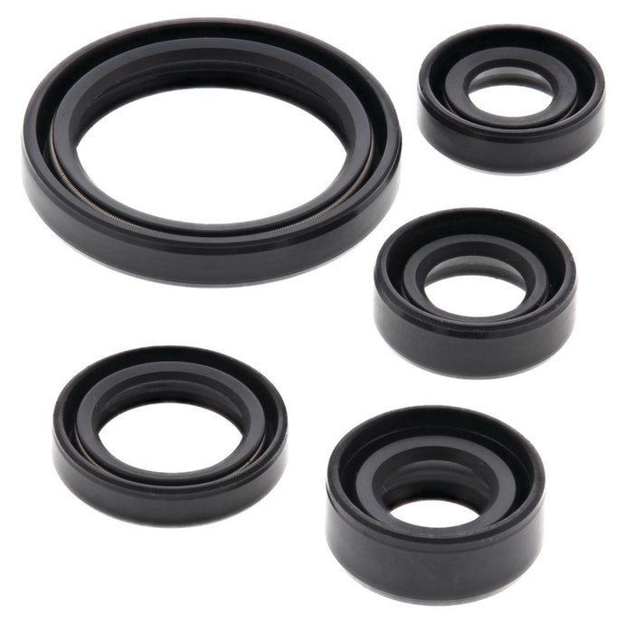 Vertex 822226 Oil Seal Kit