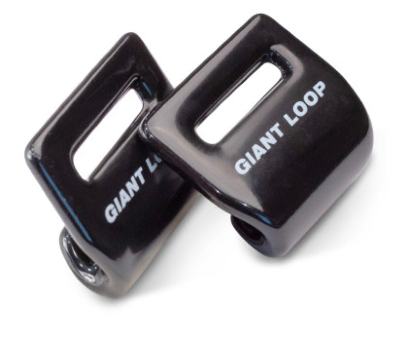 Load image into Gallery viewer, Giant Loop FH25 GIA Accessories
