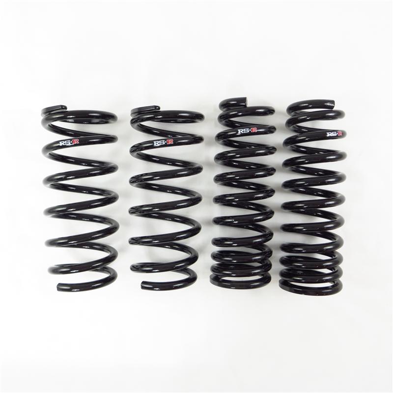 Load image into Gallery viewer, Rs-R T995D RSR Down Sus Springs
